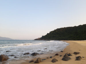 bãi xoan