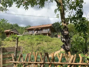 Anor House homestay