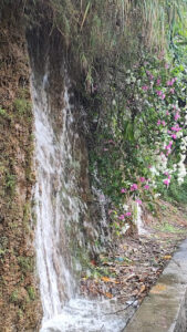 Con đường thac đổ