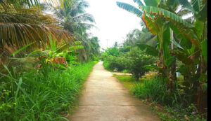Cù lao Long Trị
