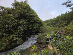 Hòa Phú Thành Tourist