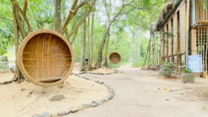 Làng tre Phú An