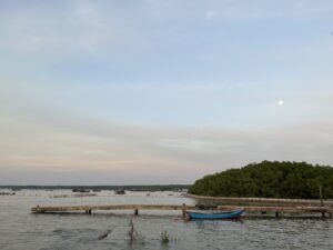 Mũi Đồng Tranh - Cần Giờ