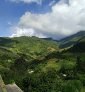 Ruộng bậc thang Trái Bí