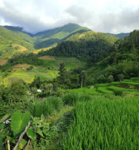 Ruộng bậc thang Trái Bí