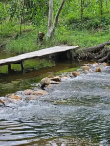 Suối Mơ Hiền Trung