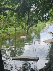 Suối Mơ Hiền Trung