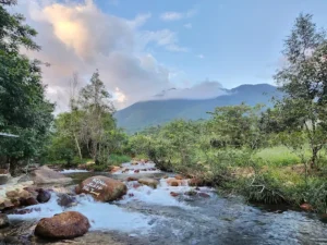 Suối Mơ Hiền Trung