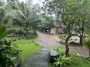 Suoirao Forest