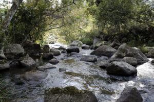 Thác 7 Tầng Păng Tiên