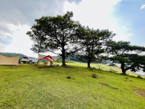 Ba cây thông hồ Suối Vàng