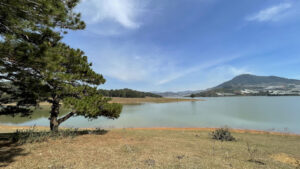 Ba cây thông hồ Suối Vàng