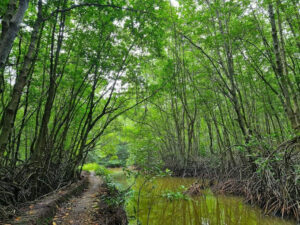 Đảo Khỉ Cần Giờ