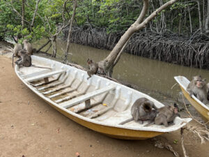 Đảo Khỉ Cần Giờ