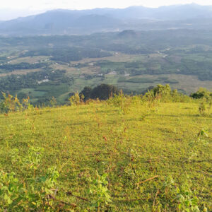 Điểm săn mây Ngọc Sơn