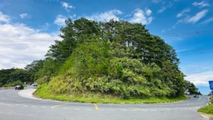 Đỉnh đèo Ngoạn Mục