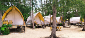Hang Sói Glamping