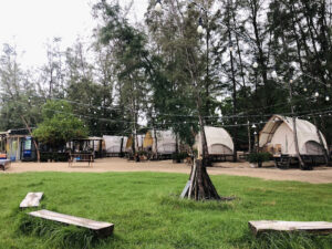 Hang Sói Glamping