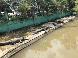 Khu du lịch Vinh Sang