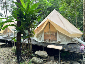 MoJen's Camp