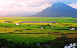 Núi Chóp Chài