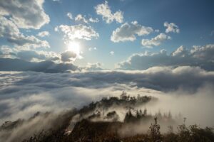 Ngải Thầu Thượng