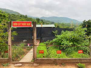 Đồn Biên Phòng