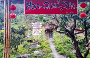 Hoa Quả Sơn