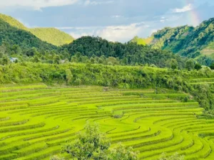 Trang trại Ngựa Bạch