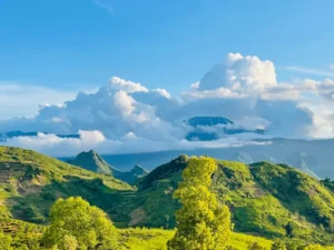 Trang trại Ngựa Bạch