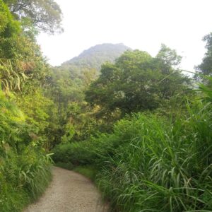 Vườn Quốc gia Tam Đảo