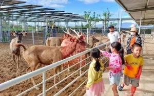 ZooDoo Phan Rang