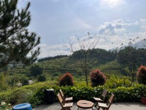 Tớ Dày Du Già Village