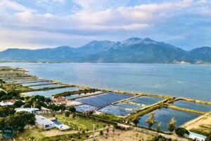 đầm thủy triều