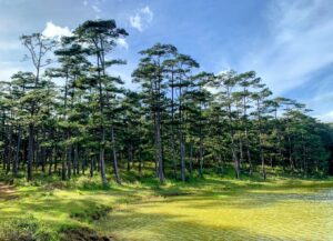 Hồ Tiên Lâm Đồng