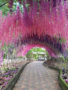 Khu du lịch Bửu Long