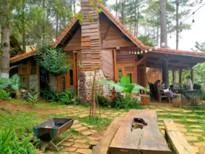 Sóc’s House - HomeStay Măng Đen - Kon Plông - Kon Tum