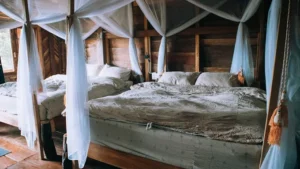 Sóc’s House - HomeStay Măng Đen - Kon Plông - Kon Tum