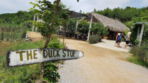 The Duck Stop