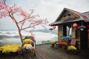 Săn mây cầu đất