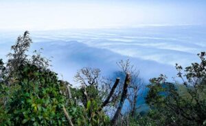 Đỉnh Nam Kang Ho Tao