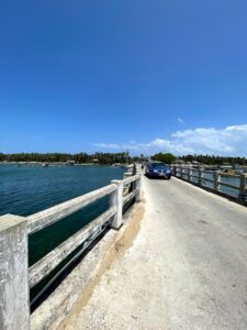 Cầu Mới Xuân Hải