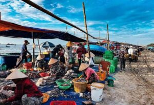 Chợ hải sản Hải Tiến