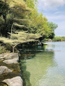 công viên suối mơ