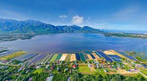 đầm thủy triều