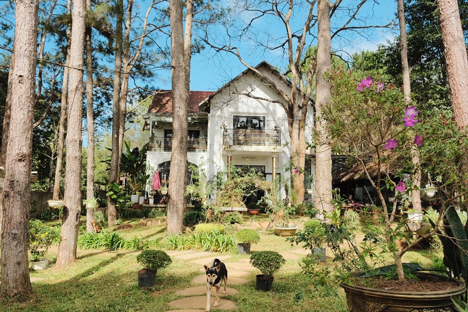 S'nghe Homestay Măng Đen - ExoTrails: Khám phá