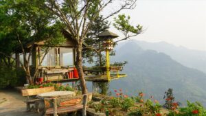 Vườn hồng cổ Sa Pa