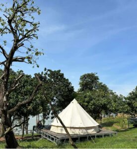 The Secret Garden Camping