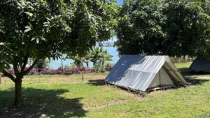 The Secret Garden Camping