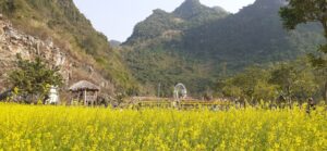 Thung Lũng Tình Yêu Yên Lạc